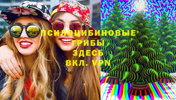 ГАЛЛЮЦИНОГЕННЫЕ ГРИБЫ Алексин
