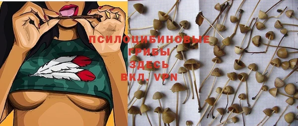 марки lsd Алзамай