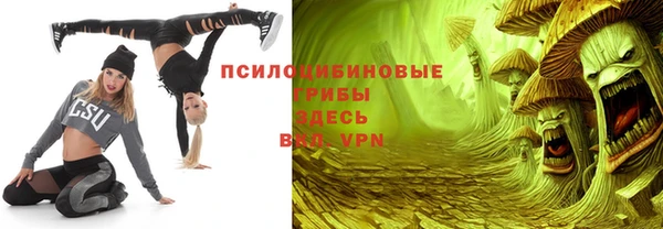 ГАЛЛЮЦИНОГЕННЫЕ ГРИБЫ Алексин